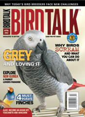 bird talk