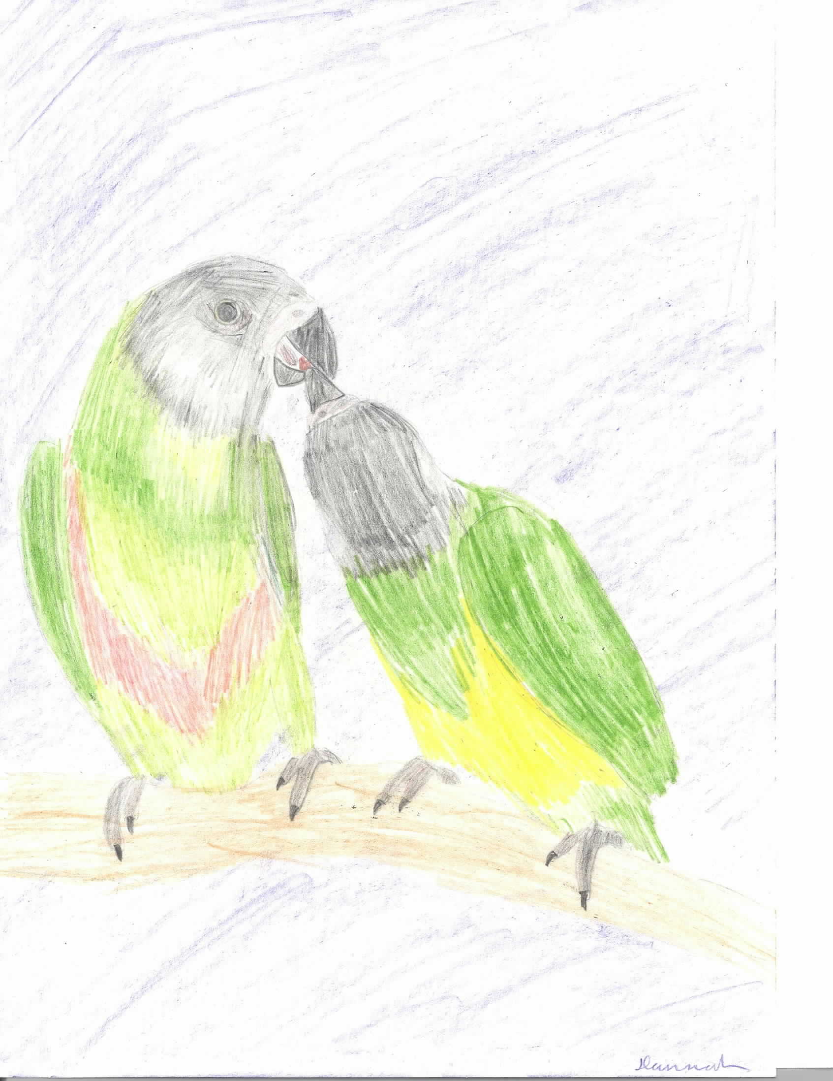 senegal