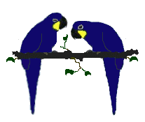 hyacinthpair.gif