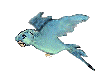 birdheads1.gif
